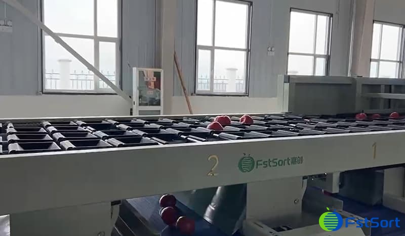 images/1690444945737fruit optical sorting line.jpg